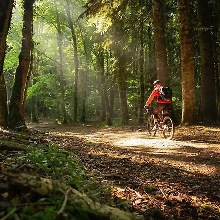 Art House Centro - Gargano Lejlighed